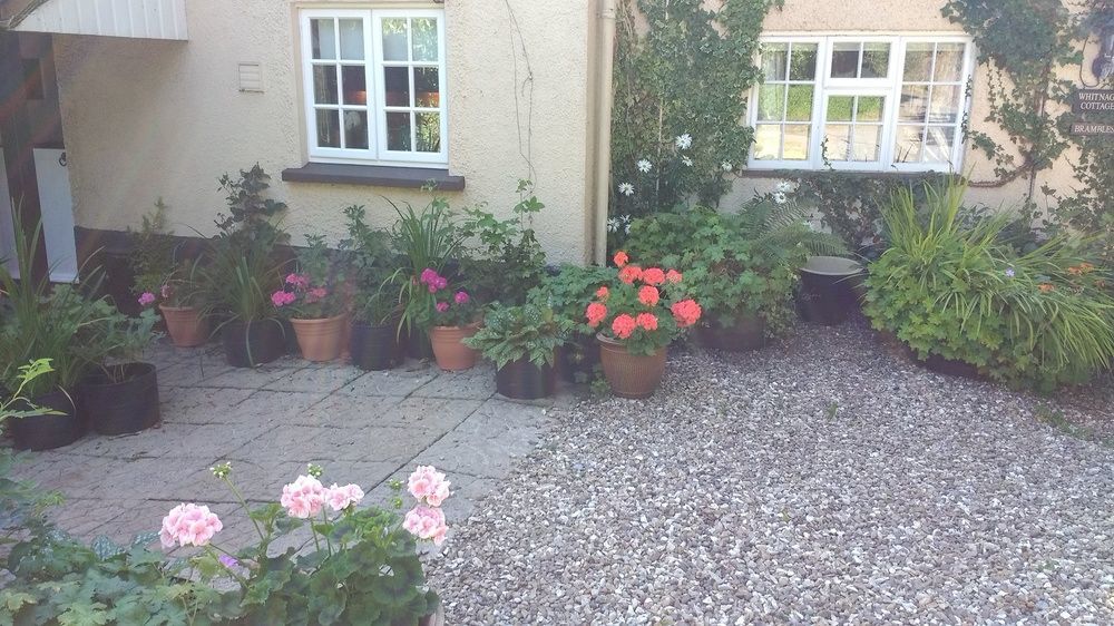 Brambles Bed And Breakfast Tiverton  Eksteriør billede